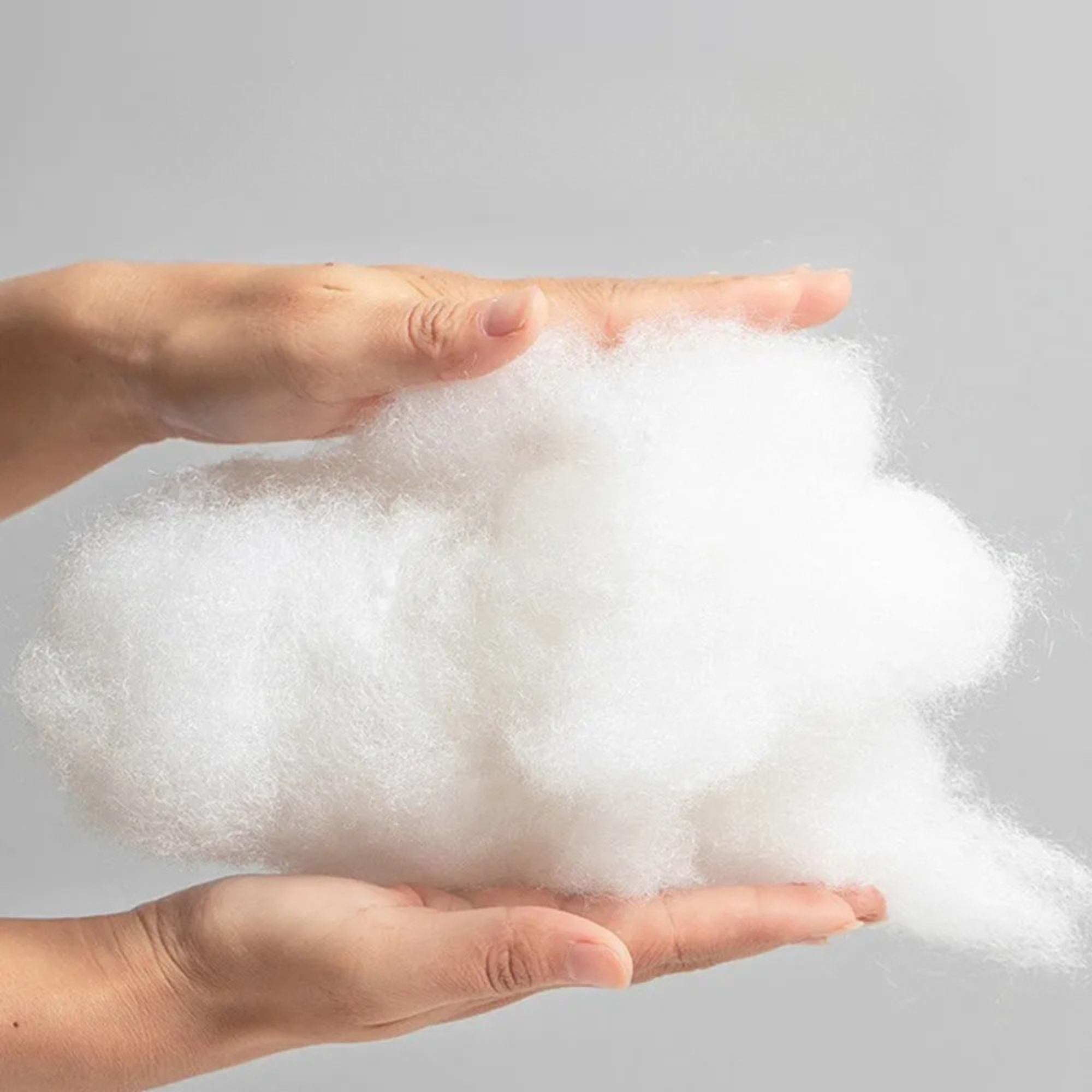 PACCA-0001 - Image 3