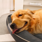 PACCA-0001 - Image 4