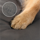 PACCA-0002 - Image 2